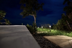 Garden at night