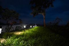 Garden at night