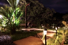 Garden at night